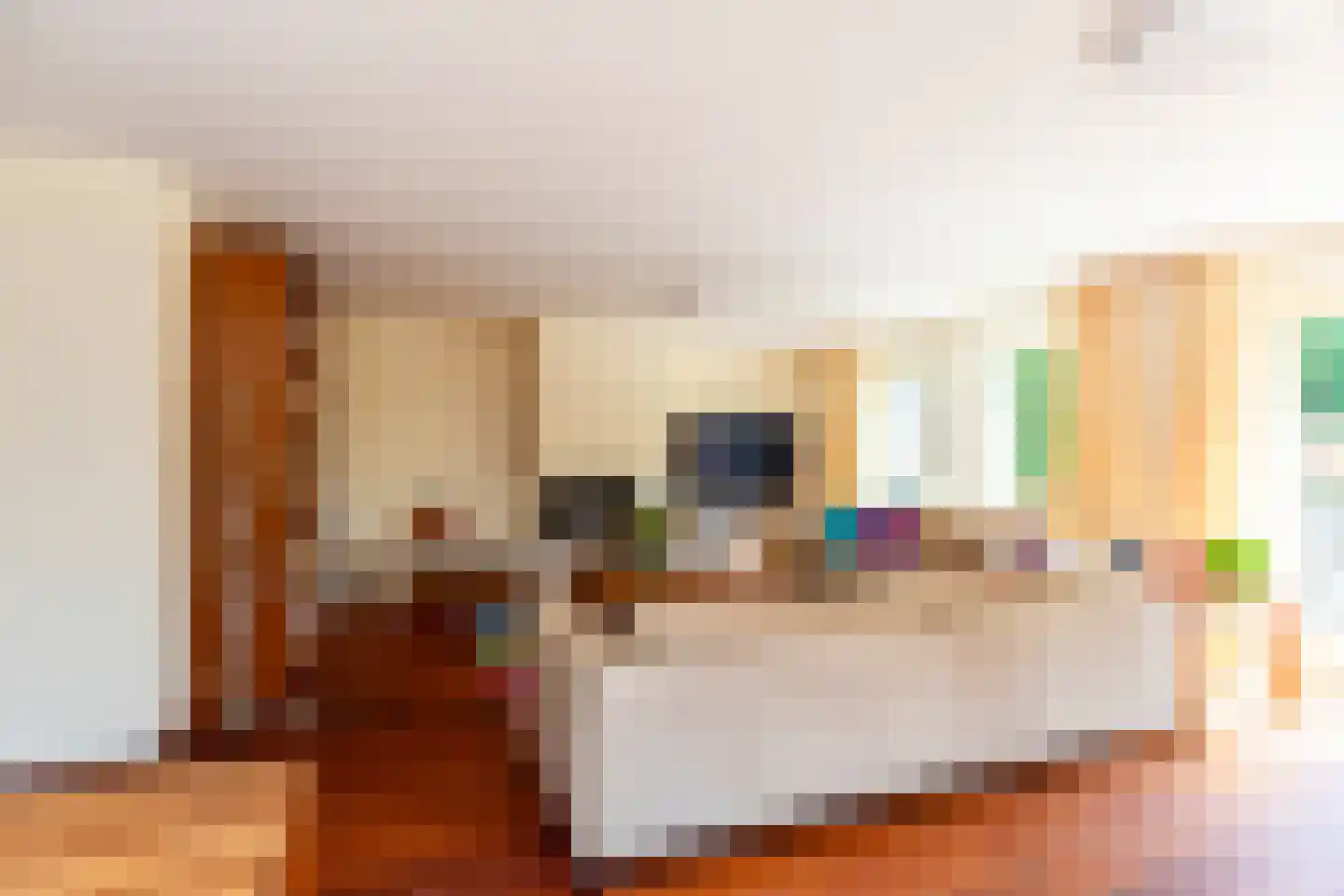 De Rhijenhof 21 Den Haag thumbnail 11