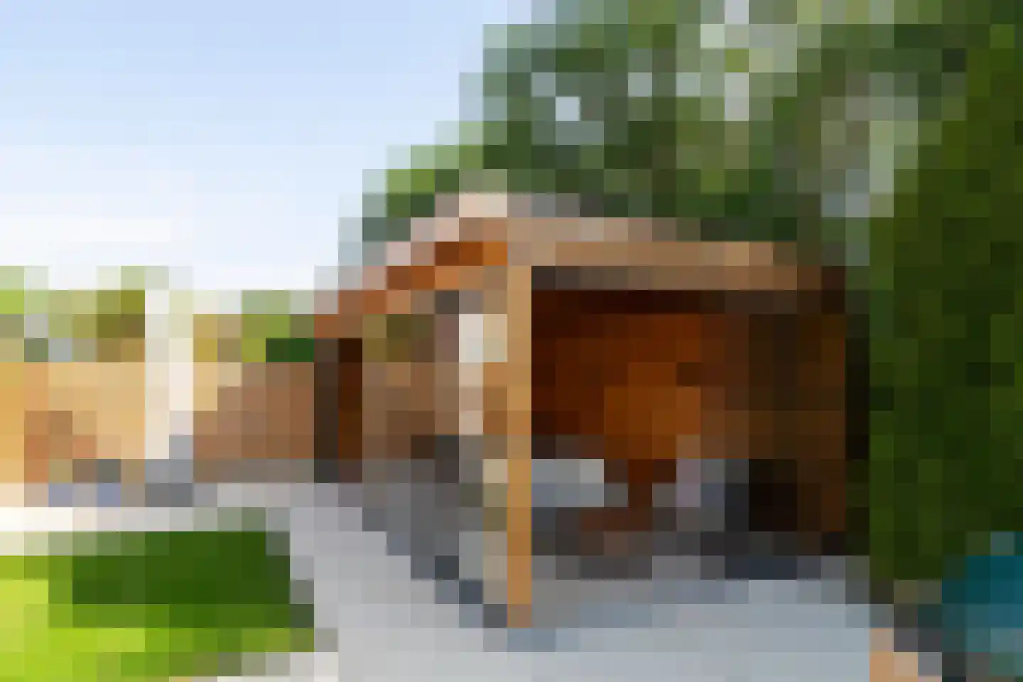 De Rhijenhof 21 Den Haag thumbnail 19