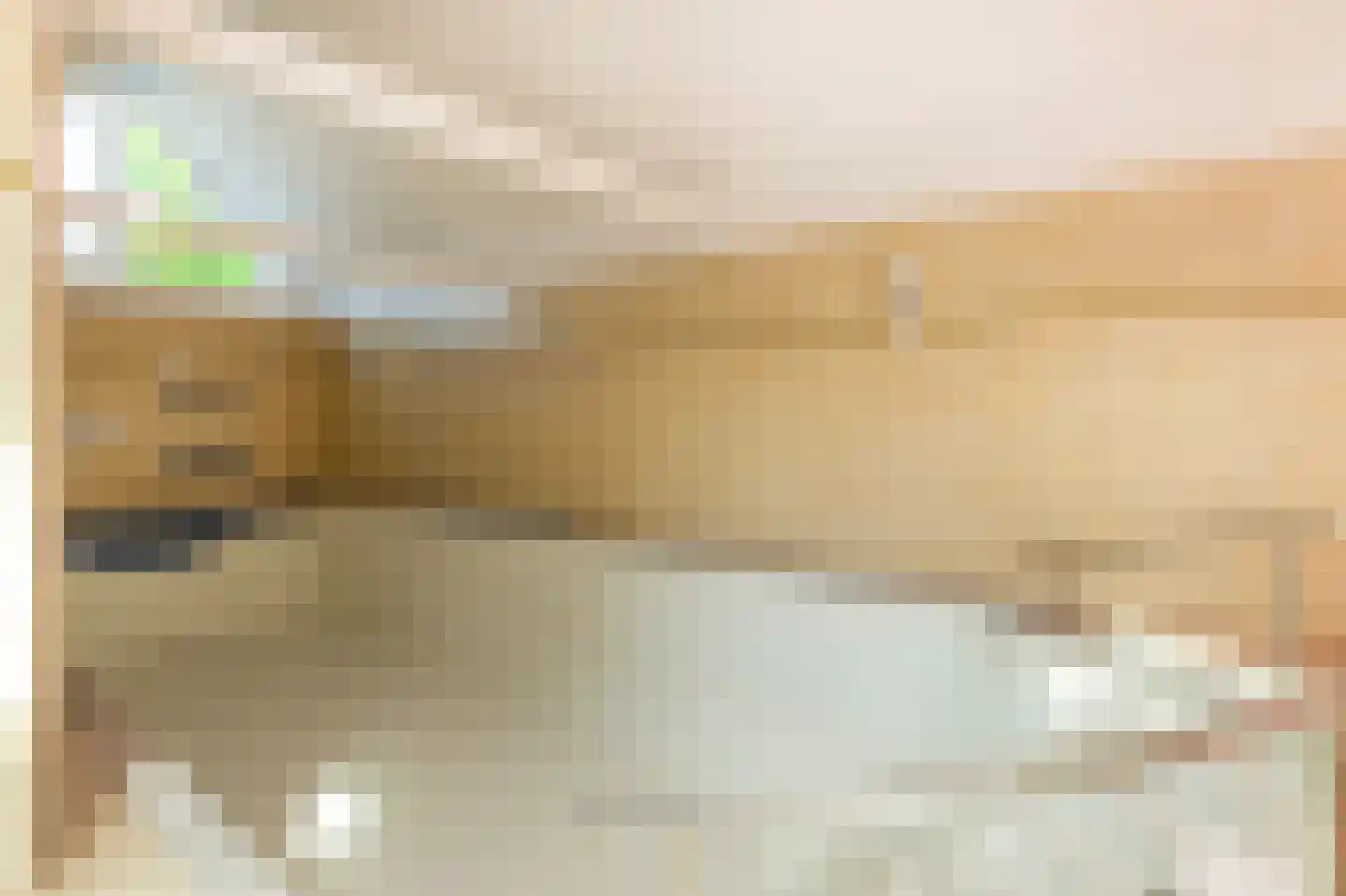De Rhijenhof 21 Den Haag thumbnail 43