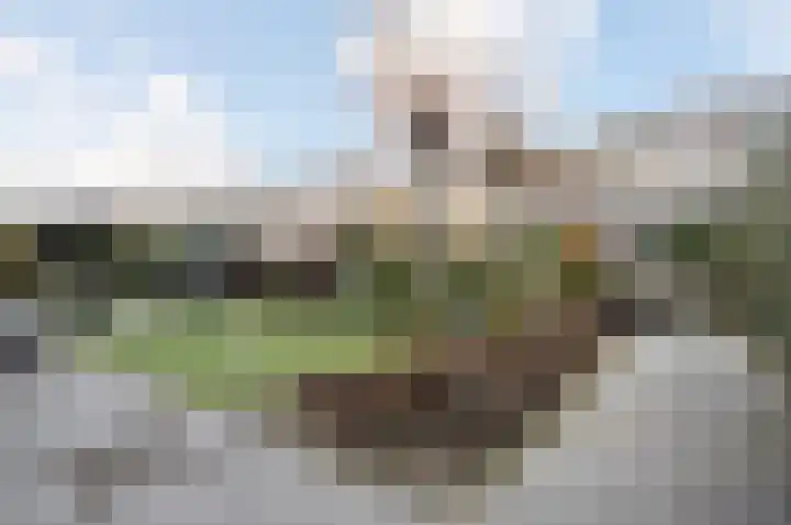 De Rhijenhof 6 B Den Haag thumbnail 31