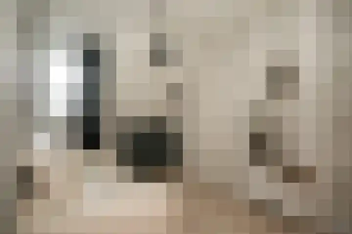 de Richtershof 24 Opijnen thumbnail 23