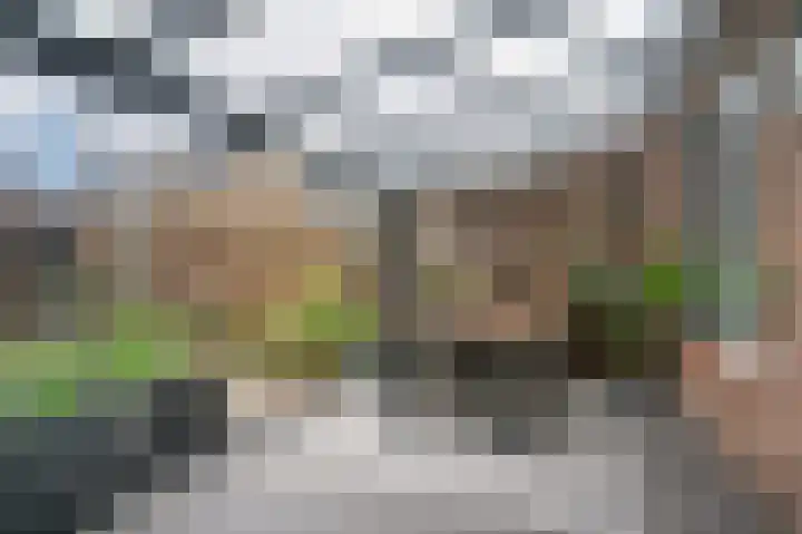 de Richtershof 24 Opijnen thumbnail 28