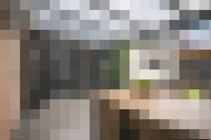 de Richtershof 24 Opijnen thumbnail 29