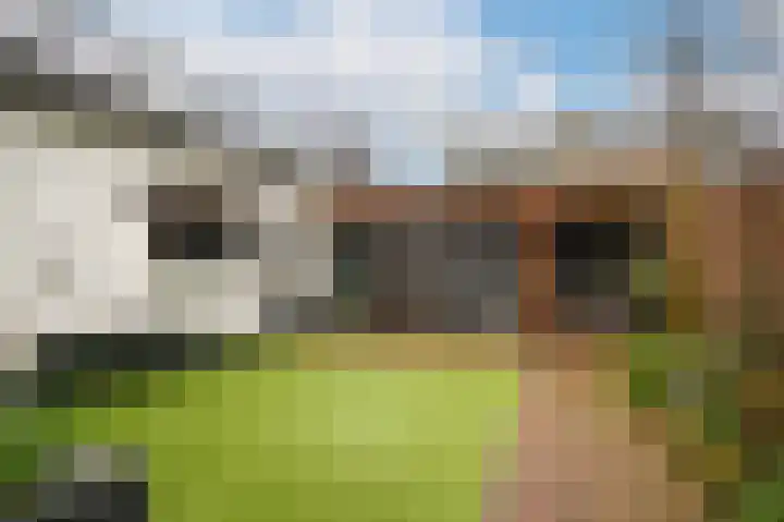de Richtershof 24 Opijnen thumbnail 30