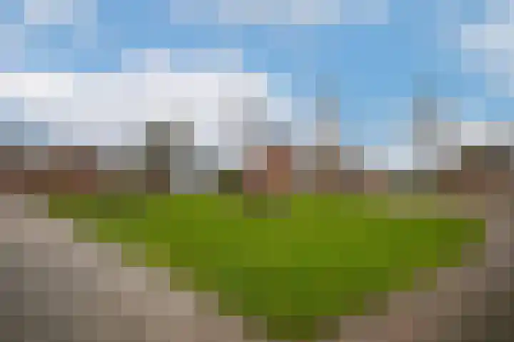 de Richtershof 24 Opijnen thumbnail 40