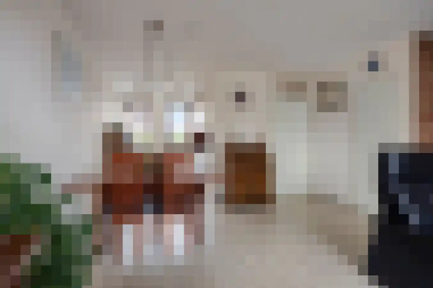 de Richtershof 32 Opijnen thumbnail 11