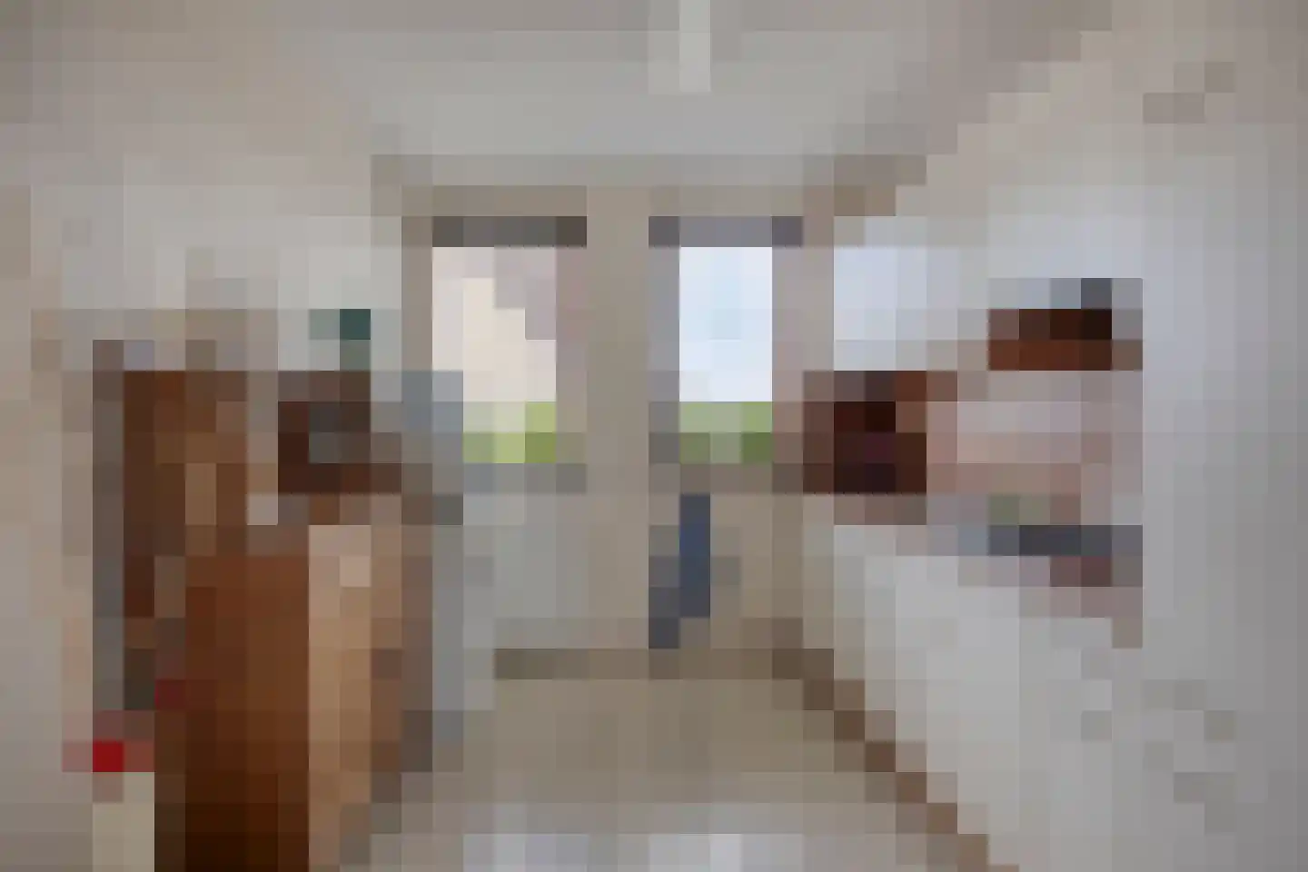 de Richtershof 32 Opijnen thumbnail 12