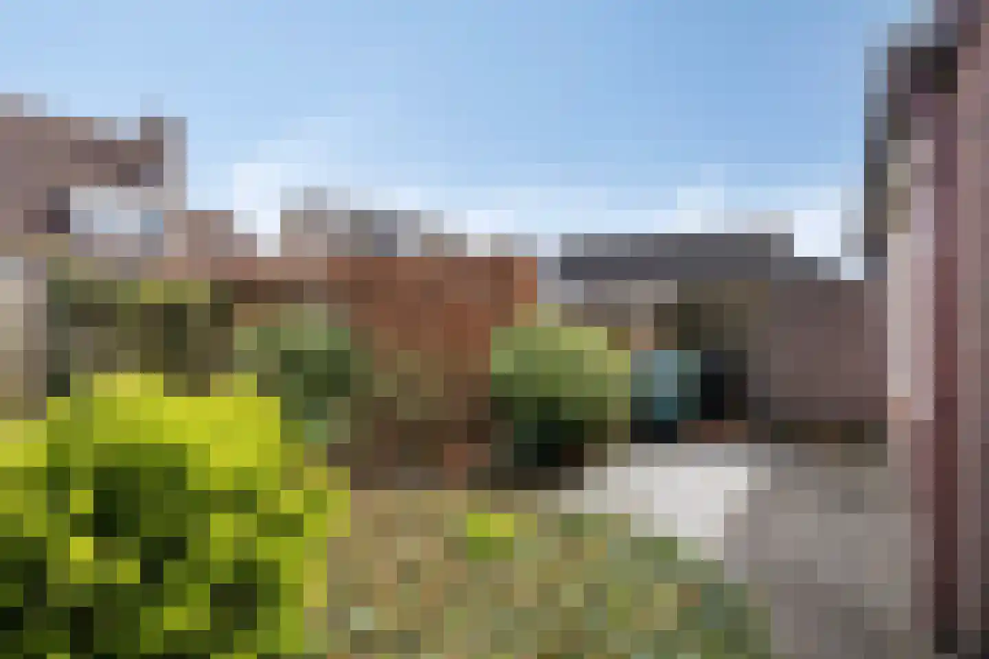 de Richtershof 32 Opijnen thumbnail 28