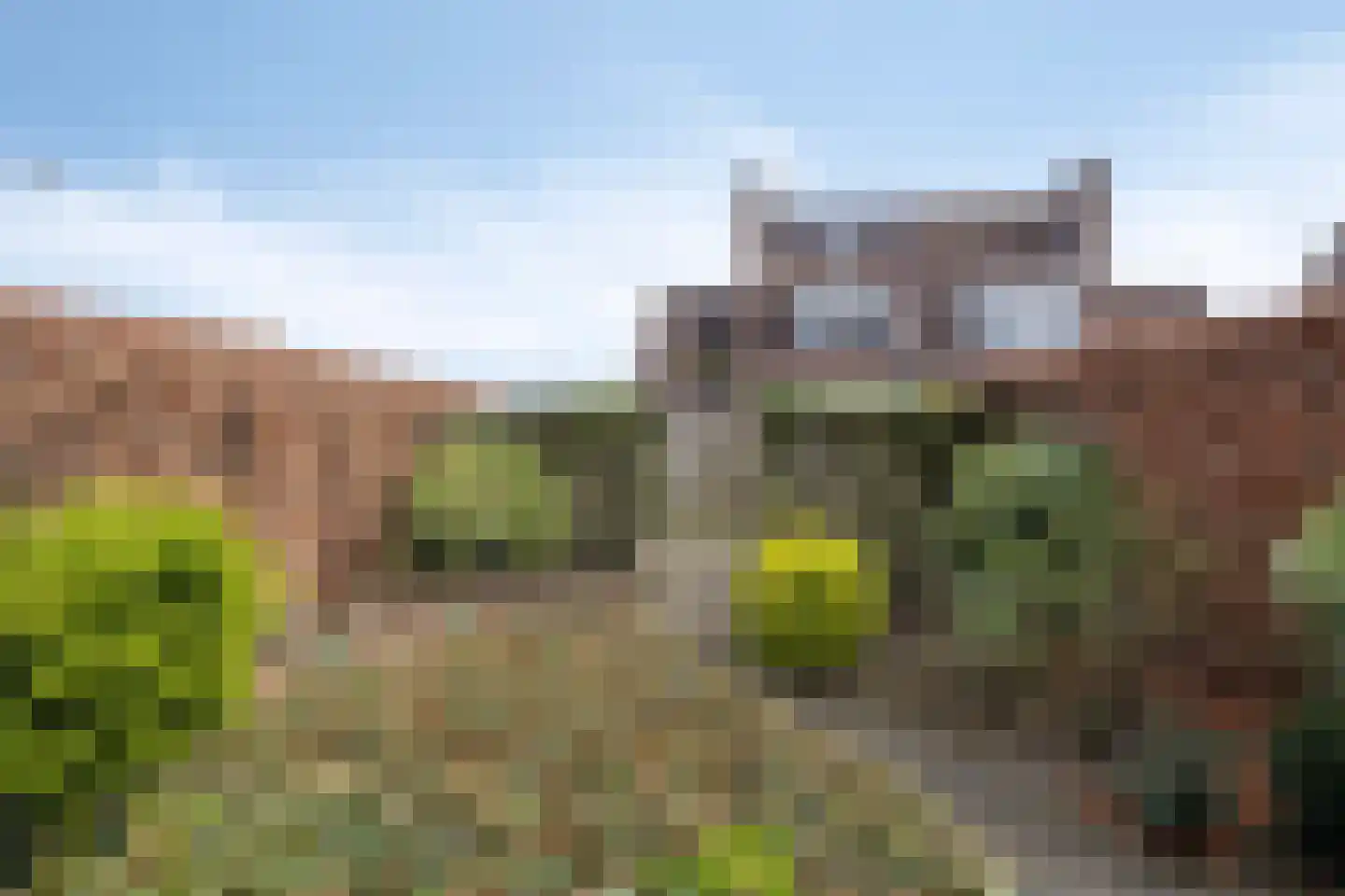 de Richtershof 32 Opijnen thumbnail 29