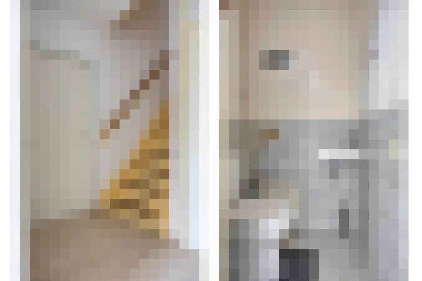 de Richtershof 32 Opijnen thumbnail 6