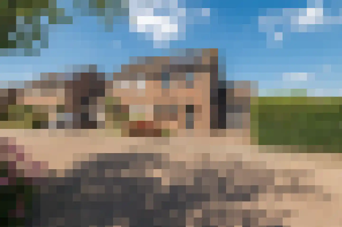 de Ridderskamp 23 Opijnen