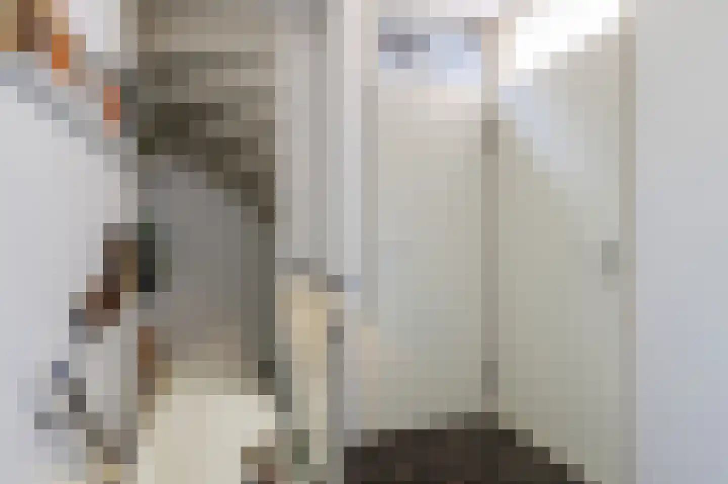 de Ridderskamp 23 Opijnen thumbnail 16