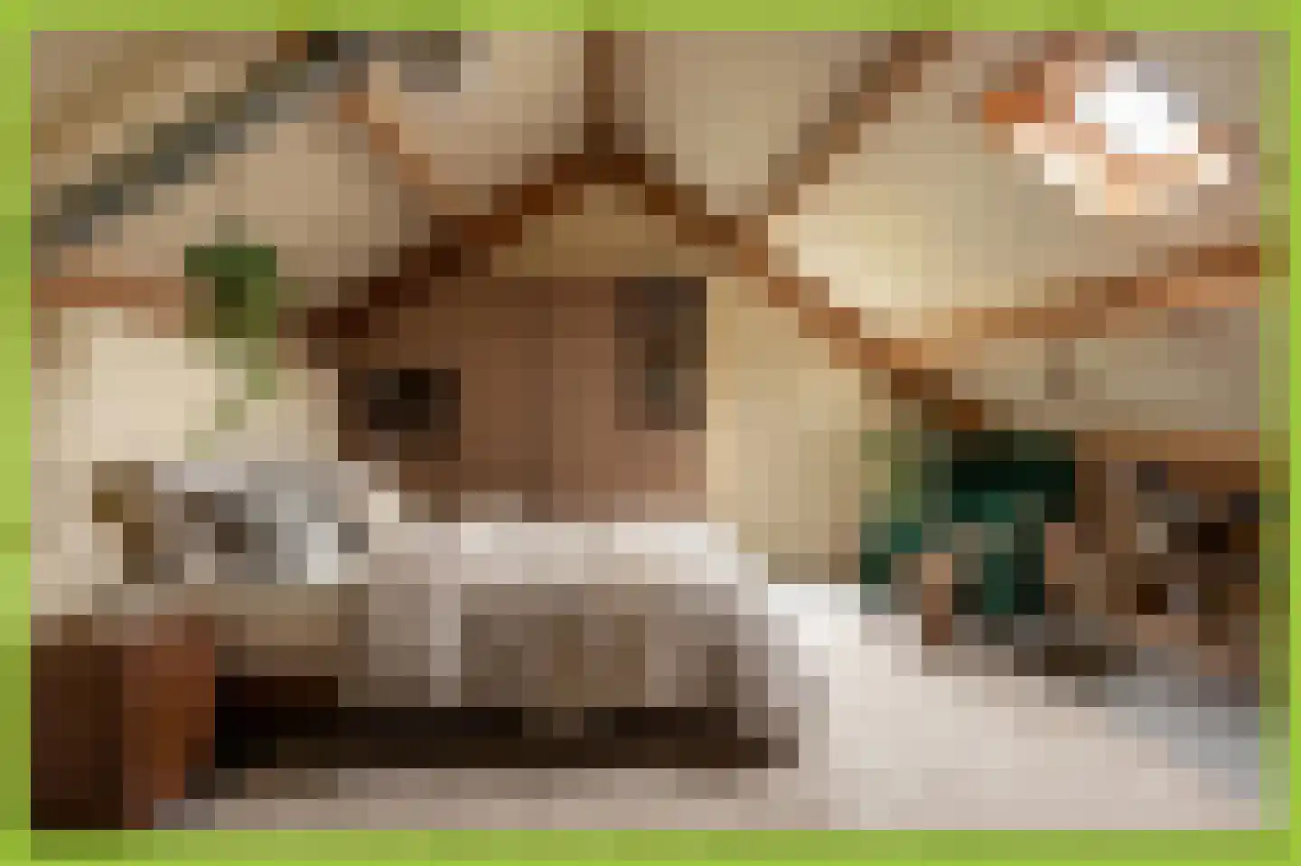 de Ridderskamp 23 Opijnen thumbnail 18