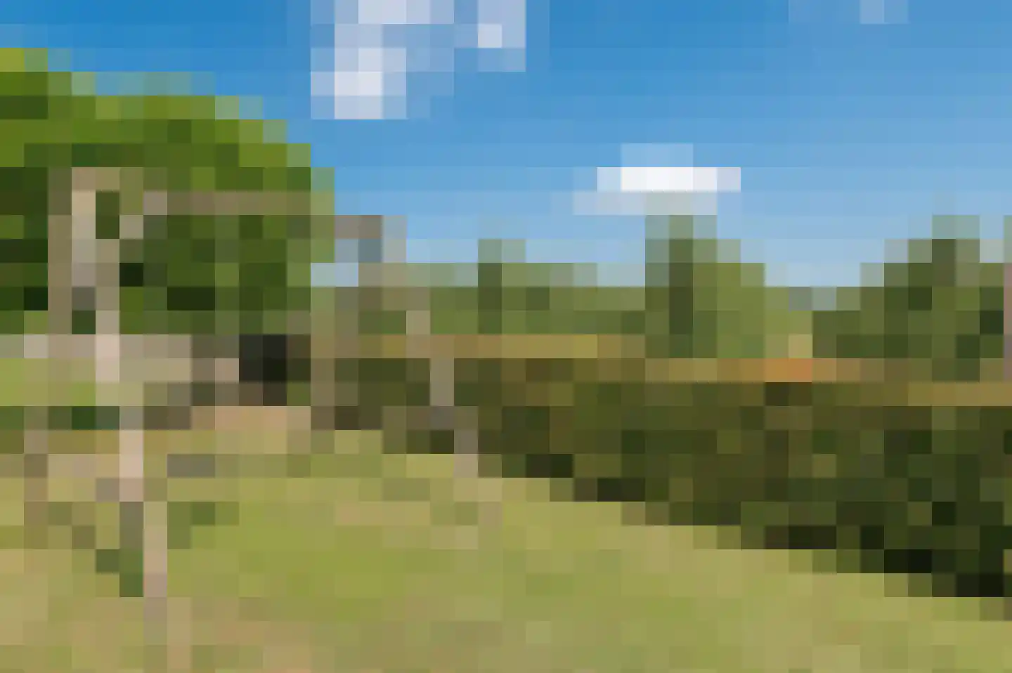 de Ridderskamp 23 Opijnen thumbnail 23