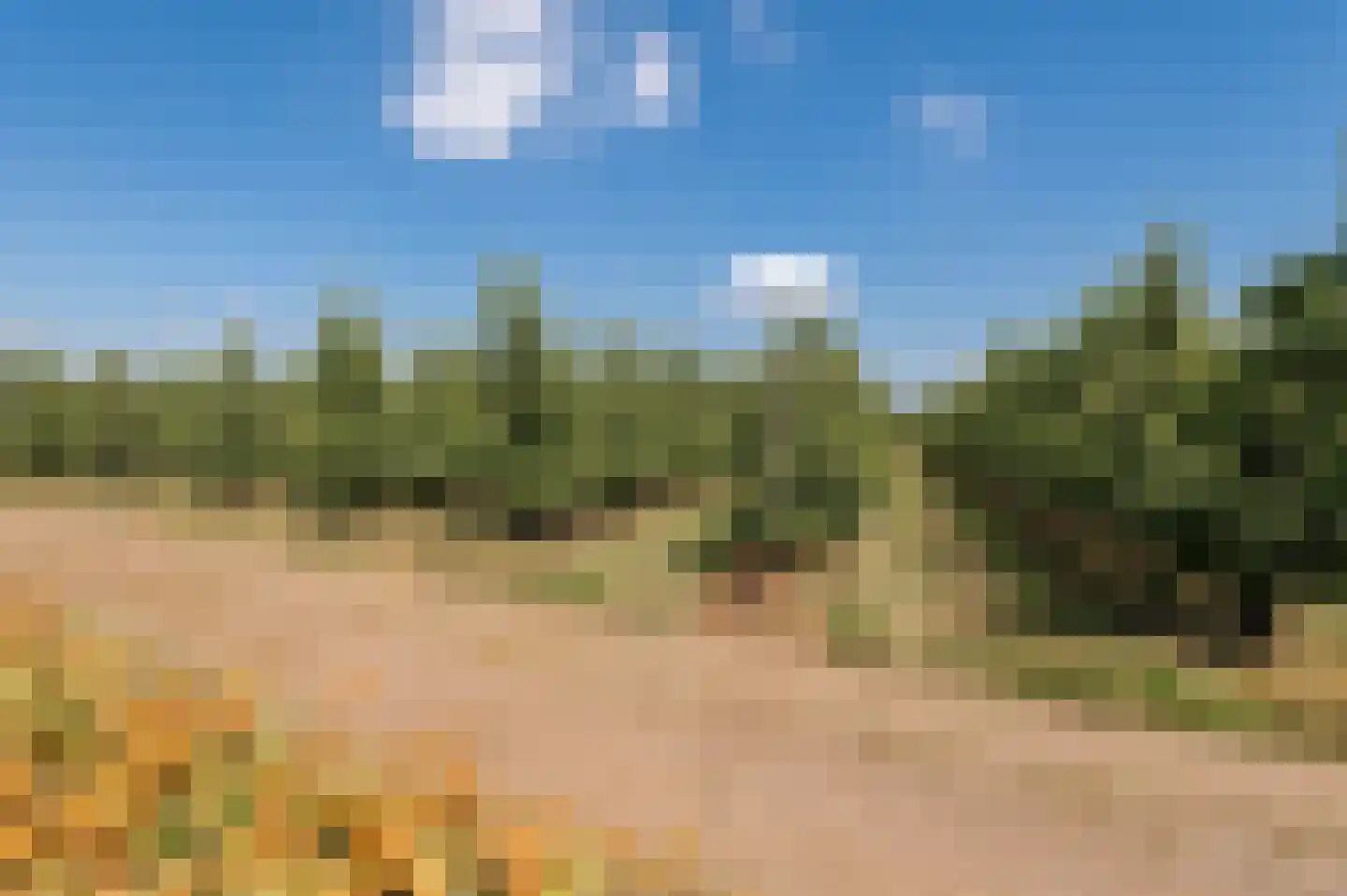 de Ridderskamp 23 Opijnen thumbnail 24