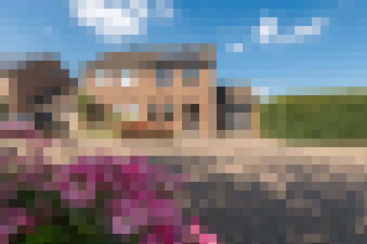 de Ridderskamp 23 Opijnen thumbnail 25