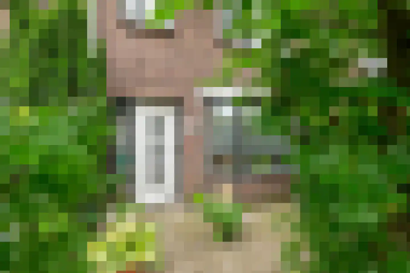 De Ridderstraat 12 Leiden thumbnail 5