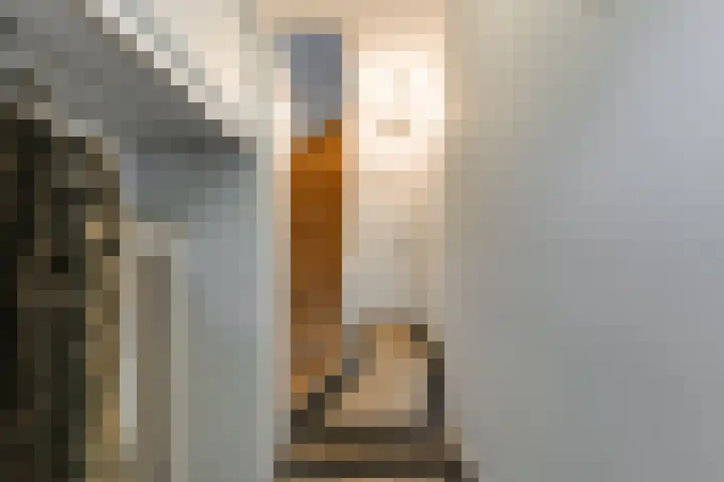 De Ridderstraat 12 Leiden thumbnail 9
