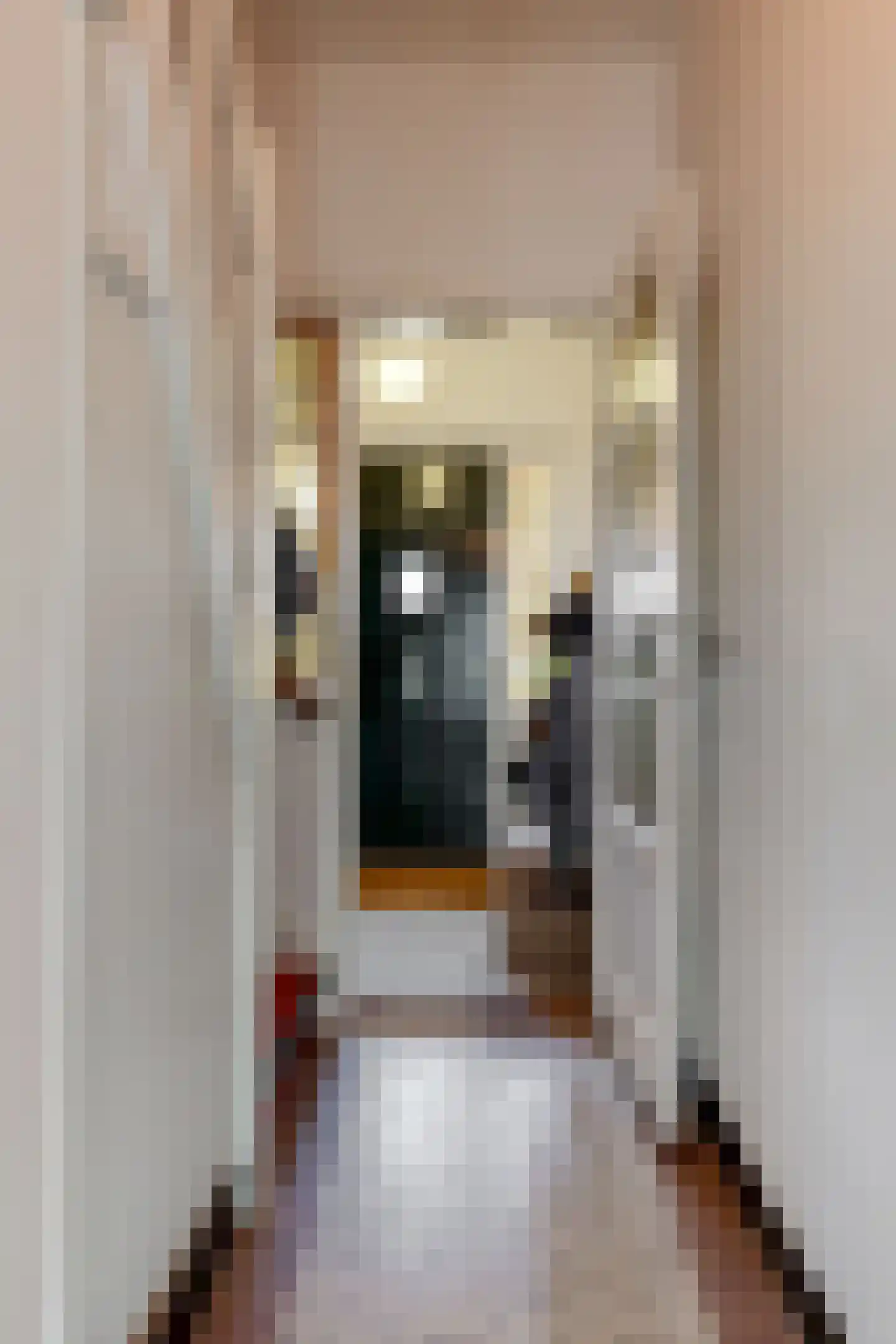 De Ridderstraat 2 Leiden thumbnail 8