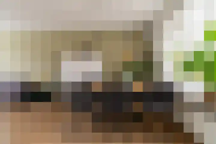 de Ridderstraat 8 Almkerk thumbnail 13
