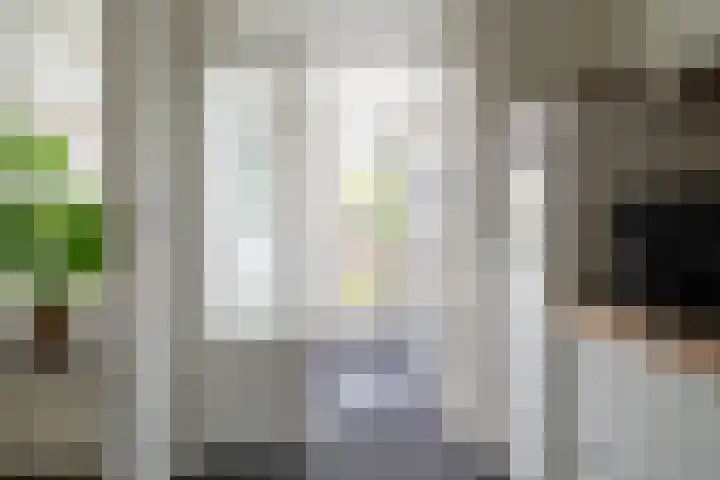 de Ridderstraat 8 Almkerk thumbnail 14