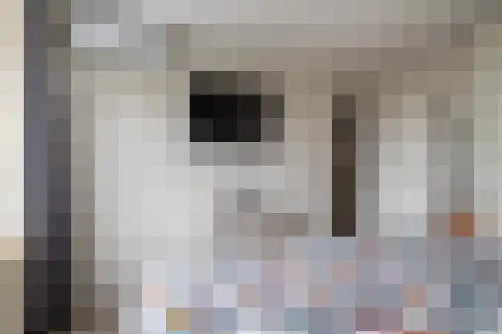 de Ridderstraat 8 Almkerk thumbnail 18