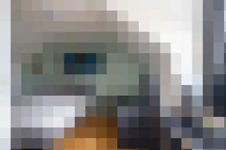de Ridderstraat 8 Almkerk thumbnail 27