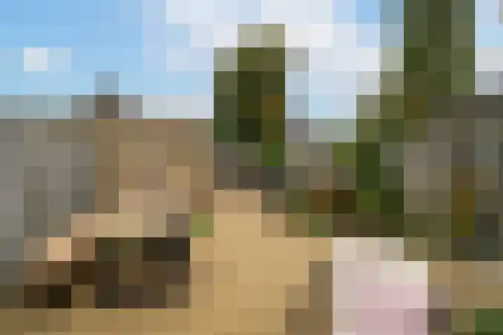 de Ridderstraat 8 Almkerk thumbnail 32
