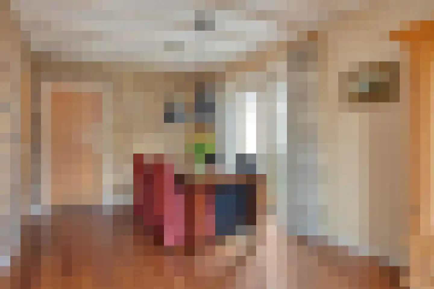 De Riede 19 Slagharen thumbnail 10