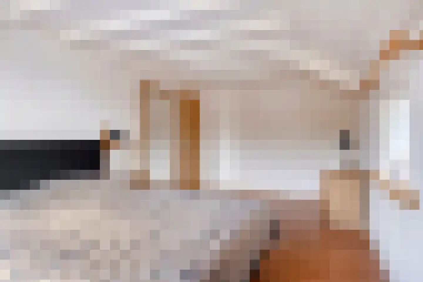 De Riede 19 Slagharen thumbnail 24