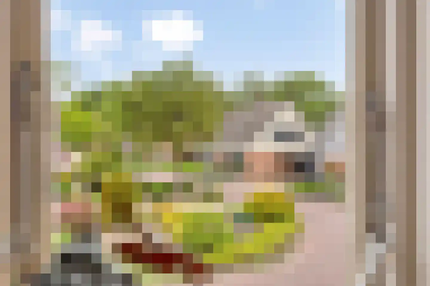 De Riede 19 Slagharen thumbnail 25