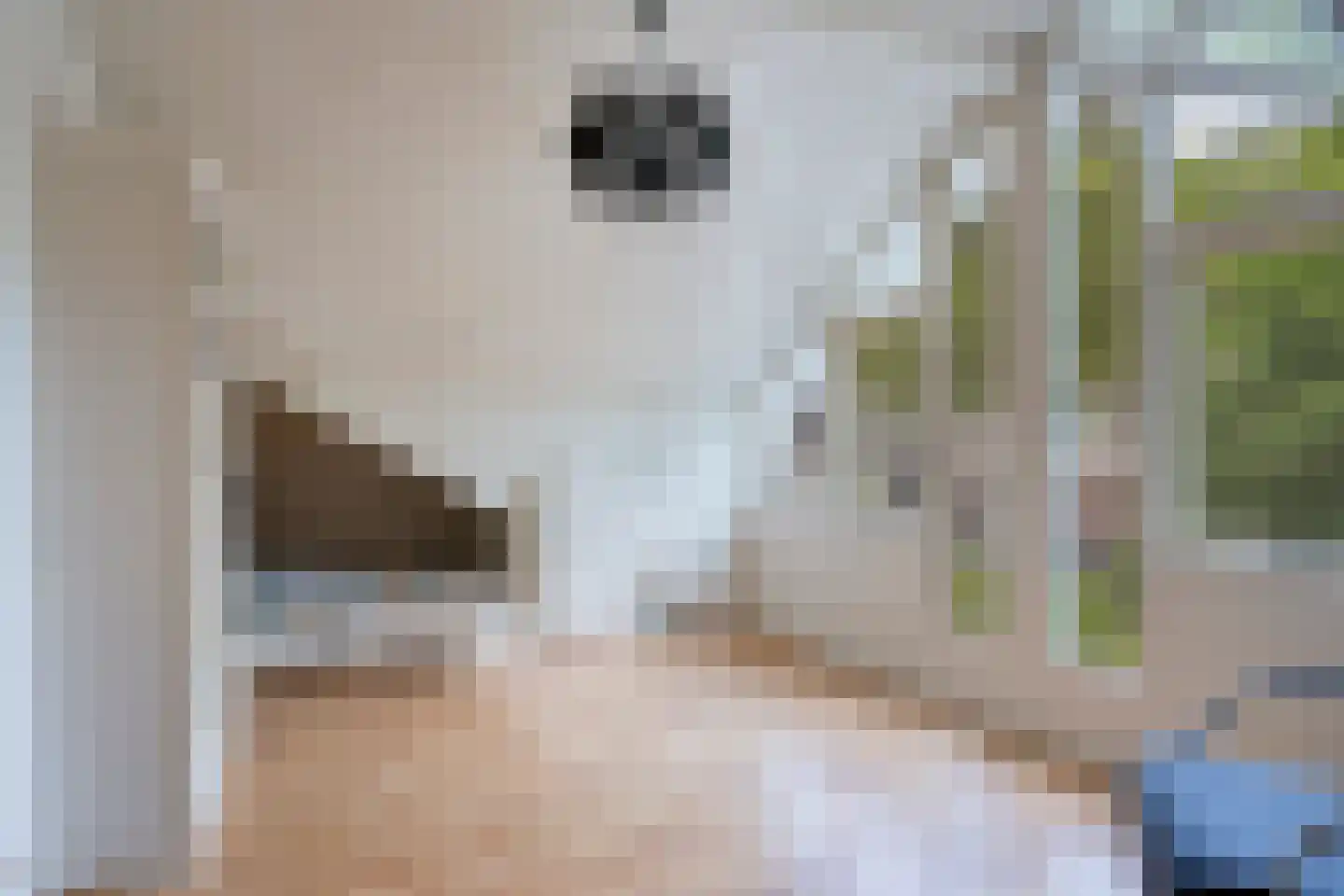 De Riede 19 Slagharen thumbnail 28