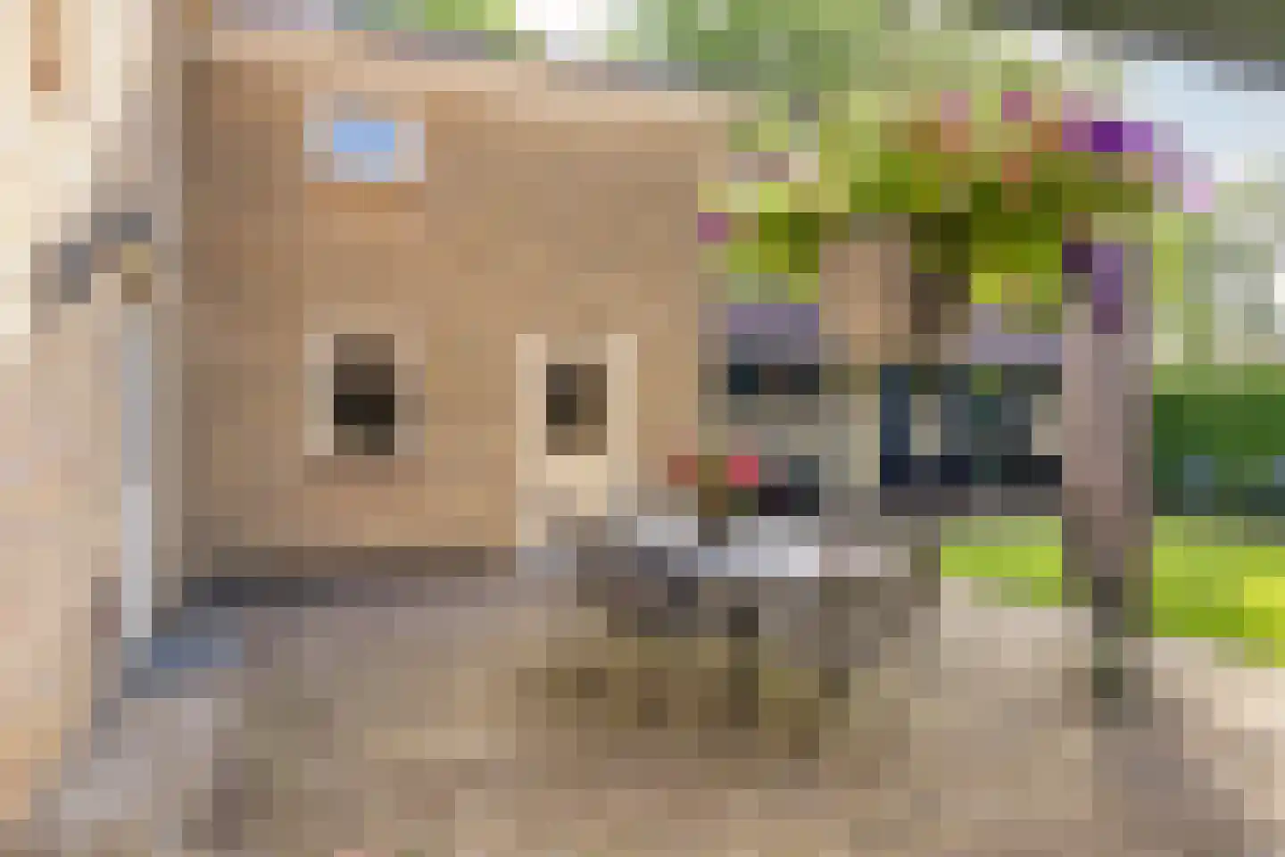 De Riede 19 Slagharen thumbnail 34