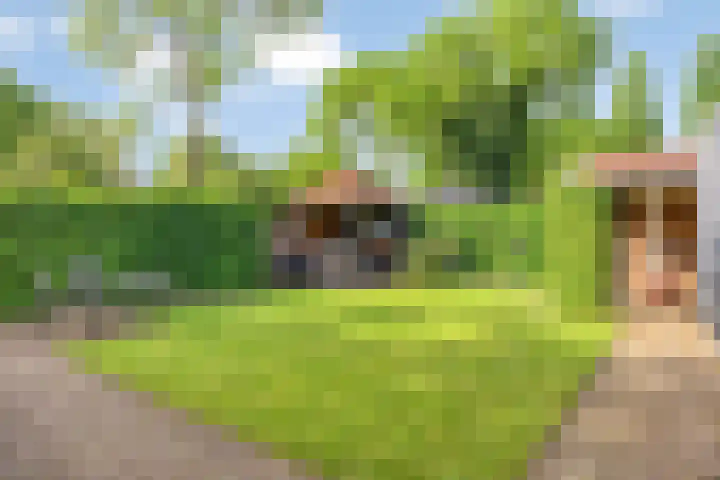 De Riede 19 Slagharen thumbnail 35