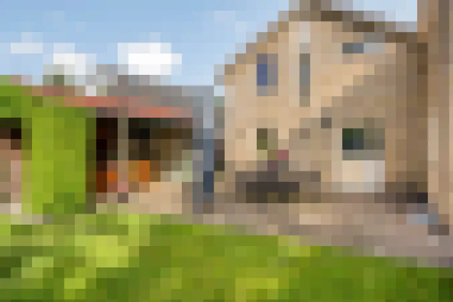 De Riede 19 Slagharen thumbnail 39