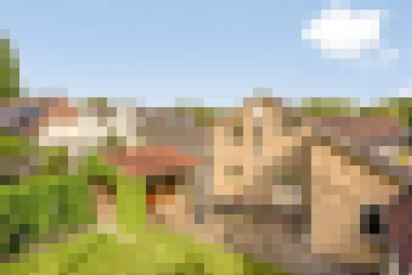De Riede 19 Slagharen thumbnail 44
