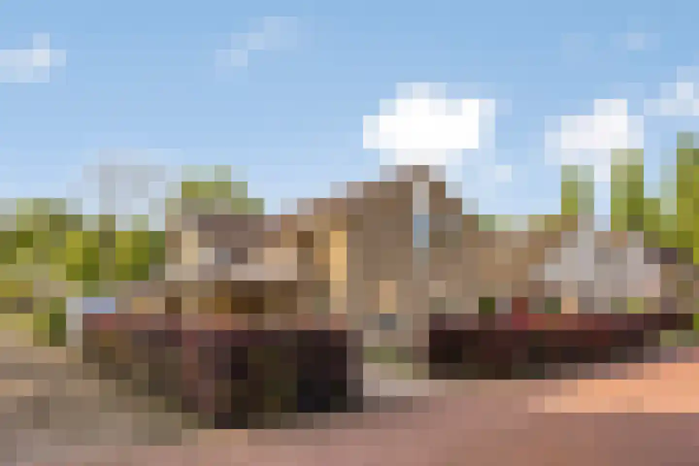De Riede 19 Slagharen thumbnail 46