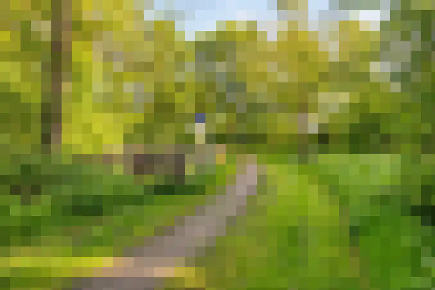 De Riede 19 Slagharen thumbnail 48