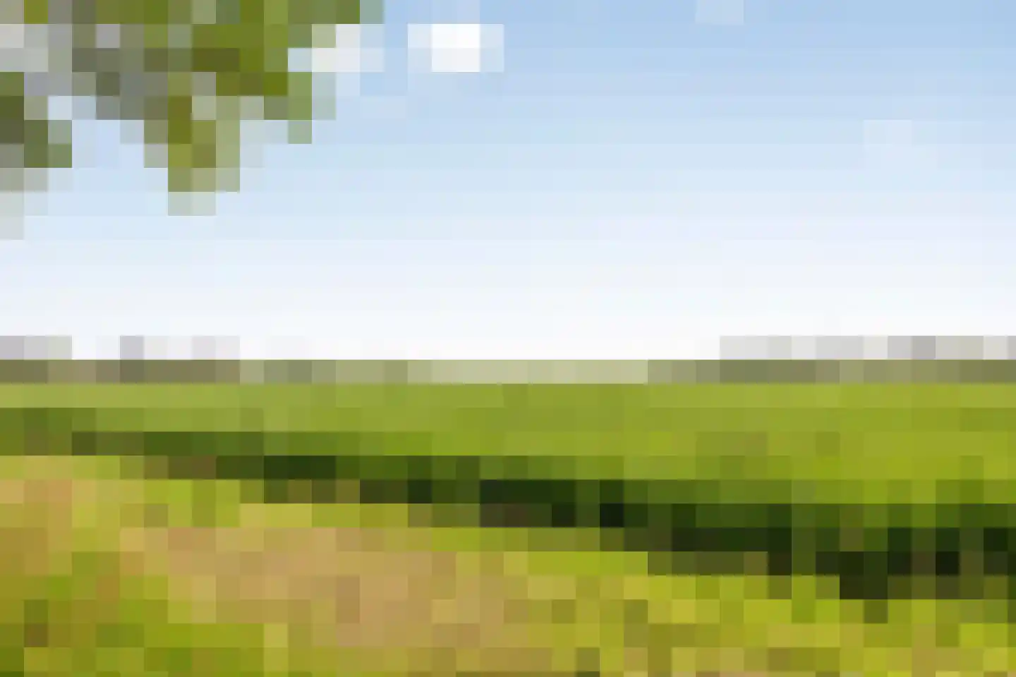 De Riede 19 Slagharen thumbnail 49
