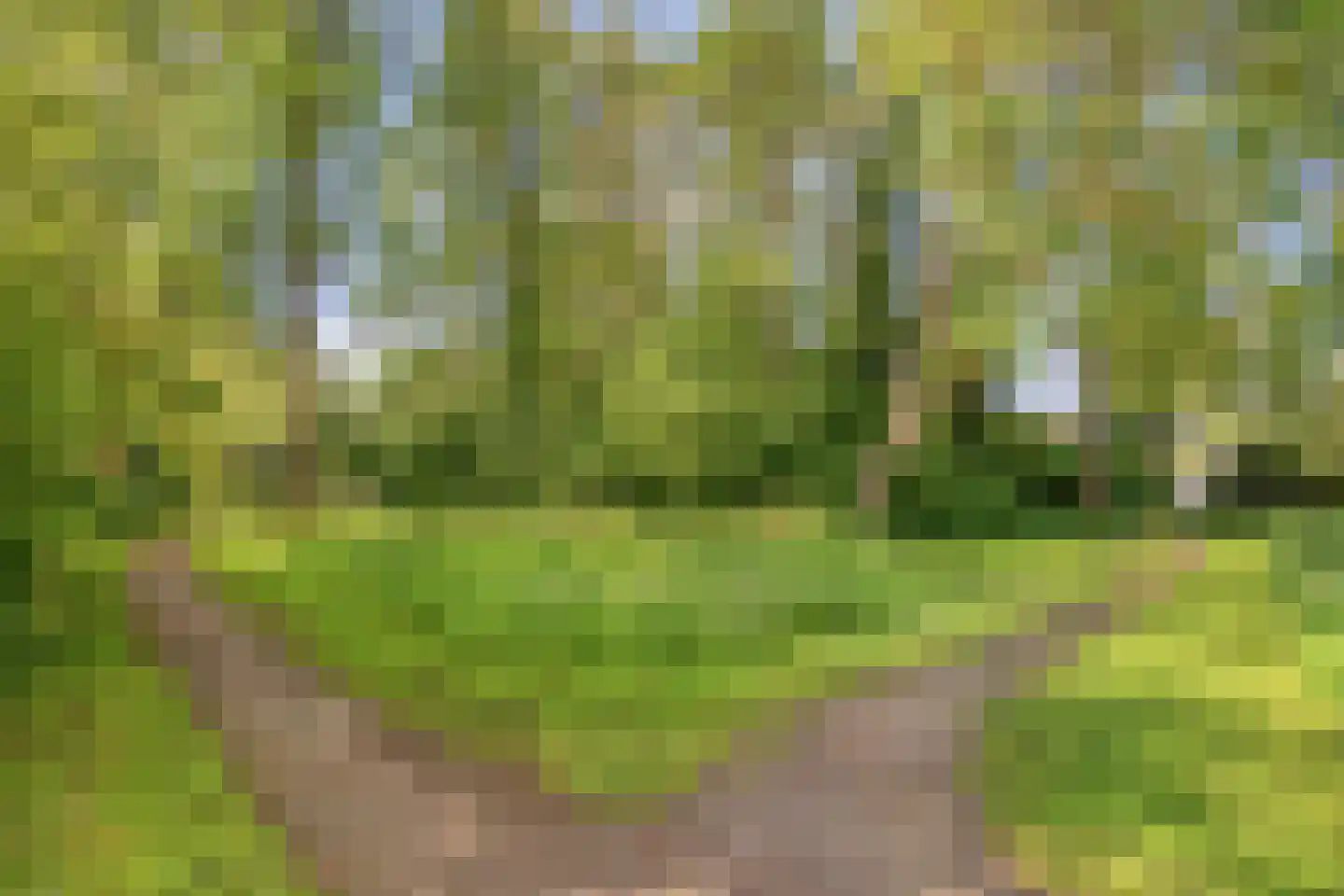 De Riede 19 Slagharen thumbnail 50