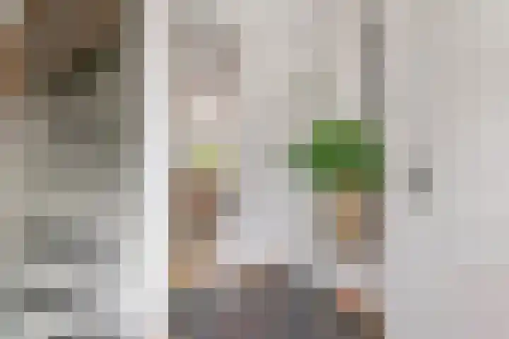 De Riegert 6 Est thumbnail 12