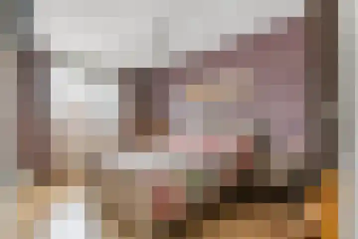 De Riegert 6 Est thumbnail 14