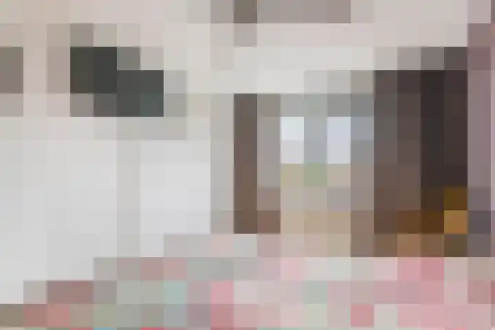 De Riegert 6 Est thumbnail 16