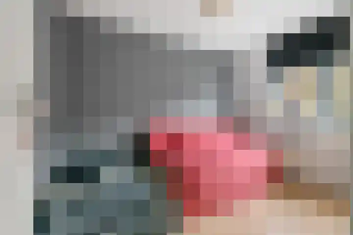 De Riegert 6 Est thumbnail 17