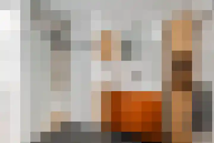 De Riegert 6 Est thumbnail 19