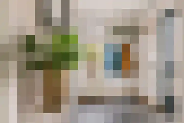 De Riegert 6 Est foto 2