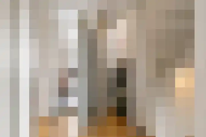 De Riegert 6 Est thumbnail 21