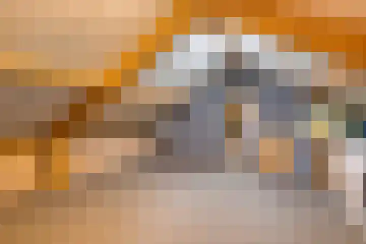 De Riegert 6 Est thumbnail 22