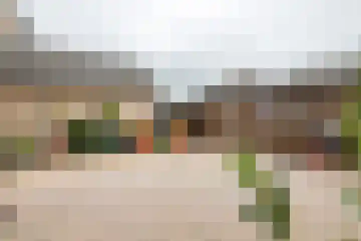 De Riegert 6 Est thumbnail 26