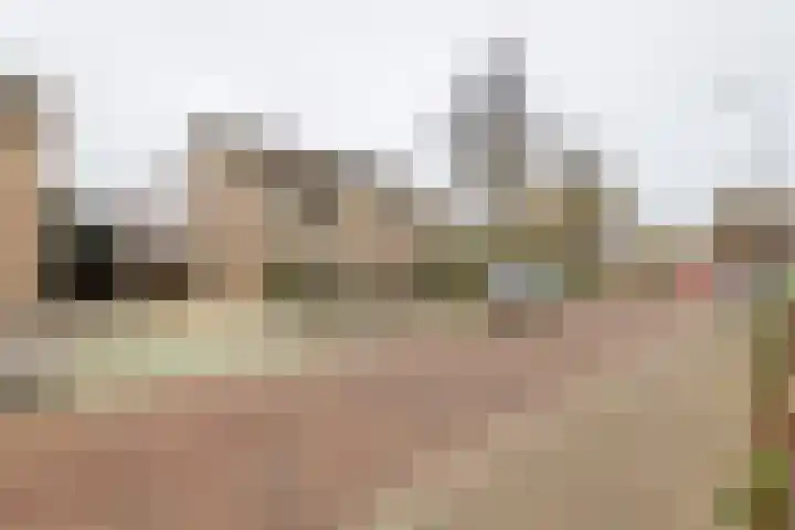 De Riegert 6 Est thumbnail 28